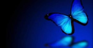 blue_butterfly_meaning