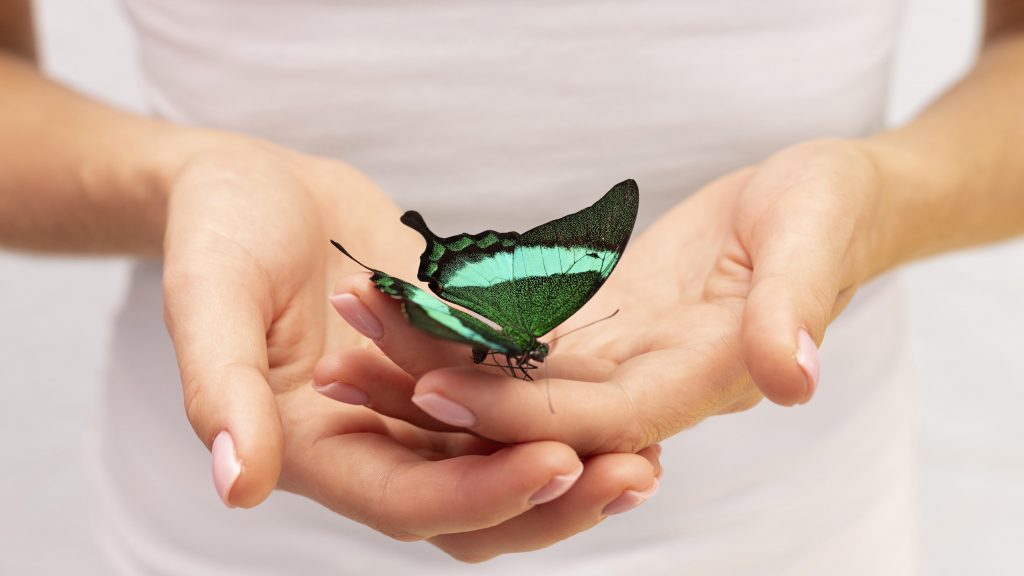 green butterfly meaning